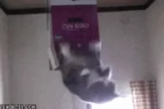 ⭕️