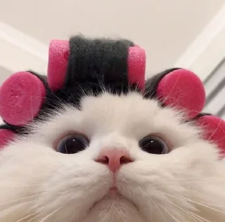 🎀