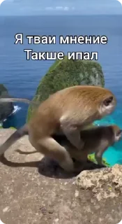 😘
