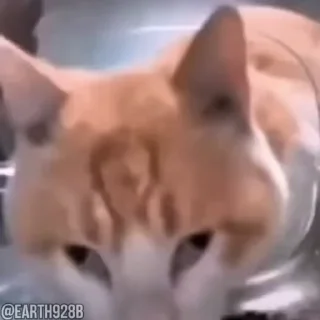 😶