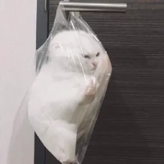 🥺