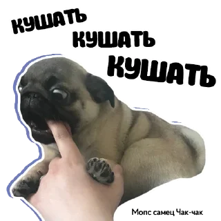 😋