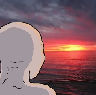 🌅