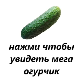 🥒