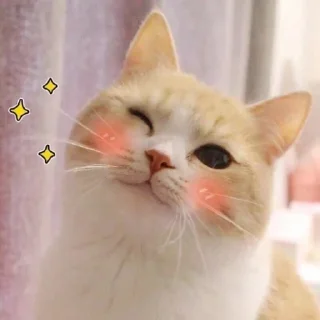 ☺