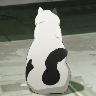 🐱