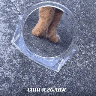 😺