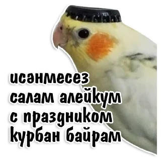 😃
