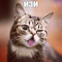 😉
