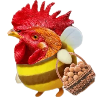 🐓