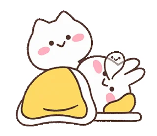 😴