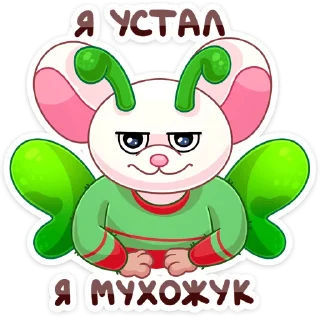 🐛