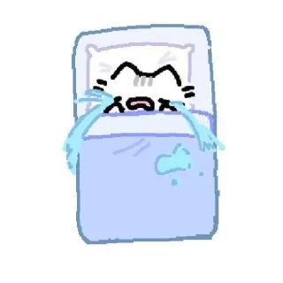 🐱