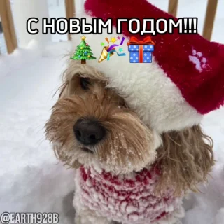 🥰