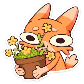 🌹