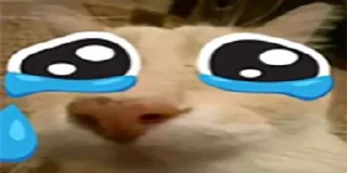 😭