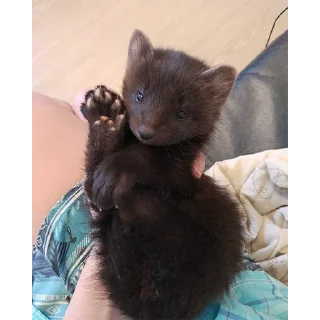🤲