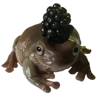 🐸