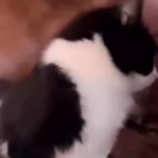 😡