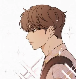 ✨