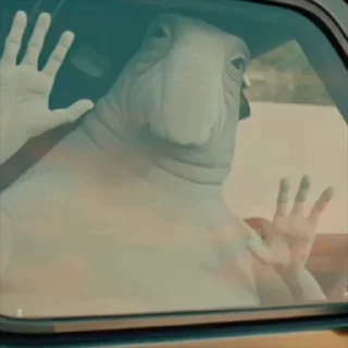 🤩