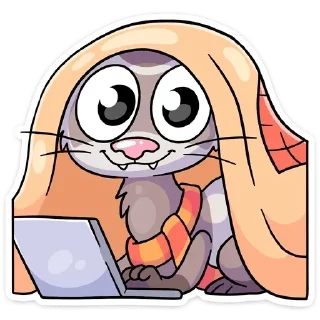 💻