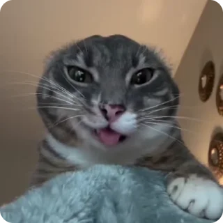 🦹
