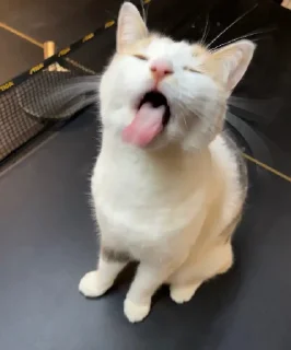 😛
