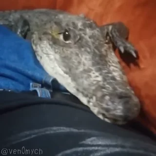 🥰
