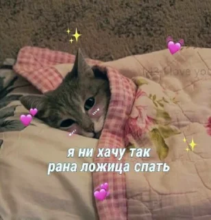 🌚