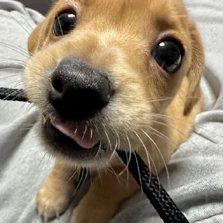 😁