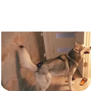 👍