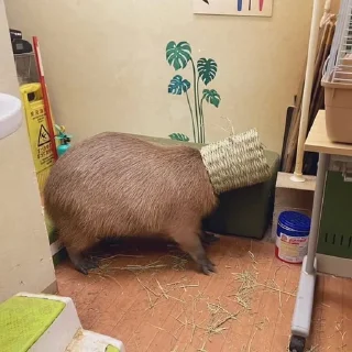📦