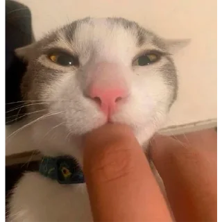 😋