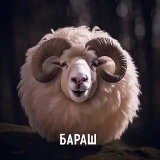 🐏