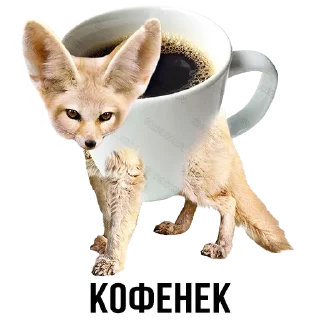 ☕