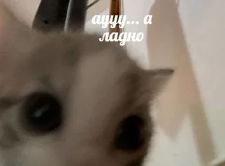 😳