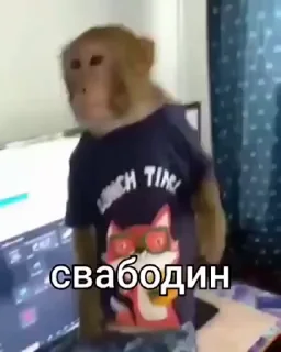 🤩