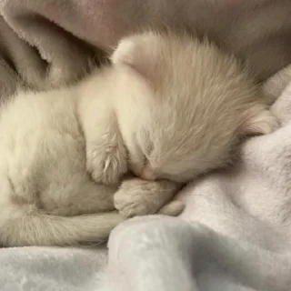 💞