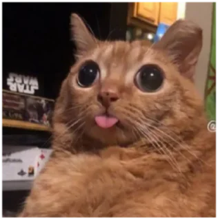 🤪