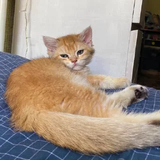 ☹️