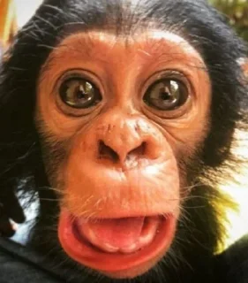 😱