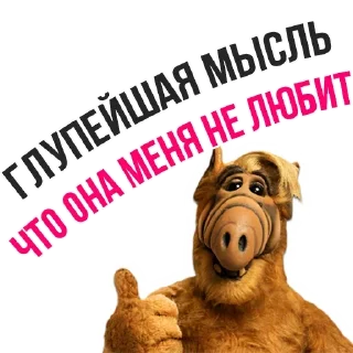 😎