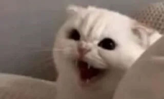 🤬