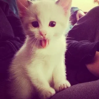 😜