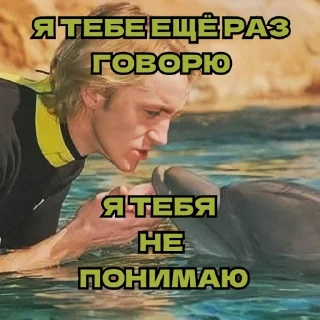 🐬