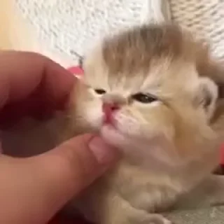 ☺️