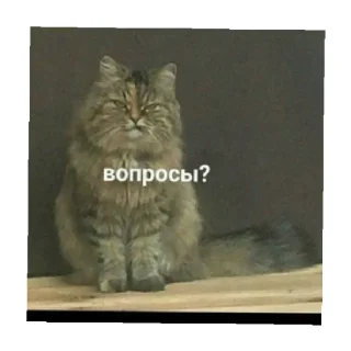 🤨