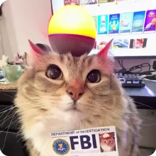 🚨