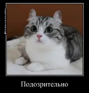 😑